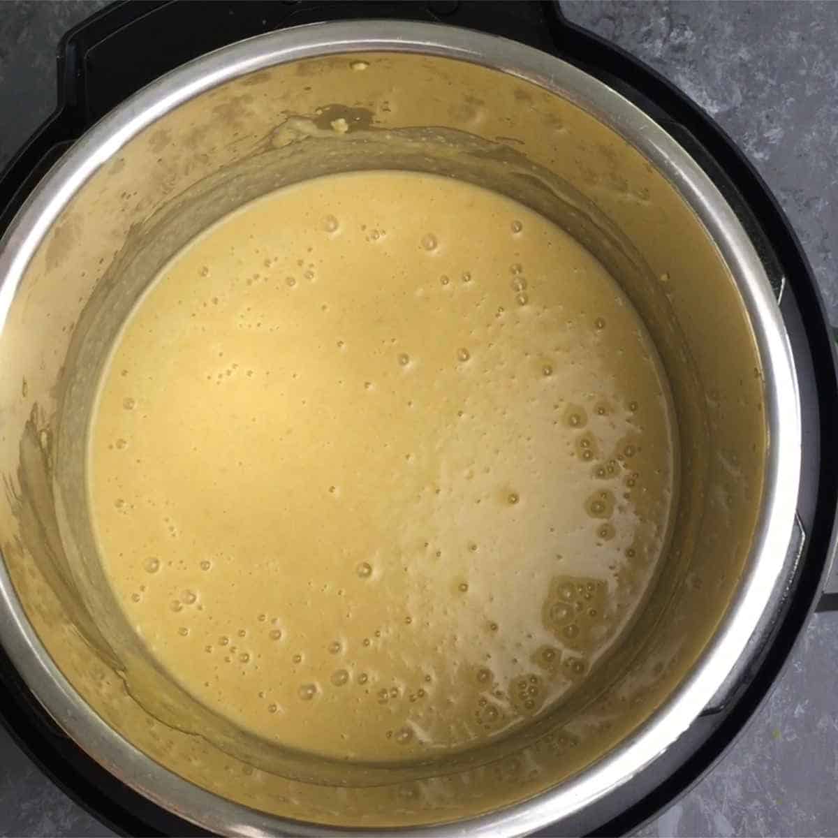 millet soup made in instant pot