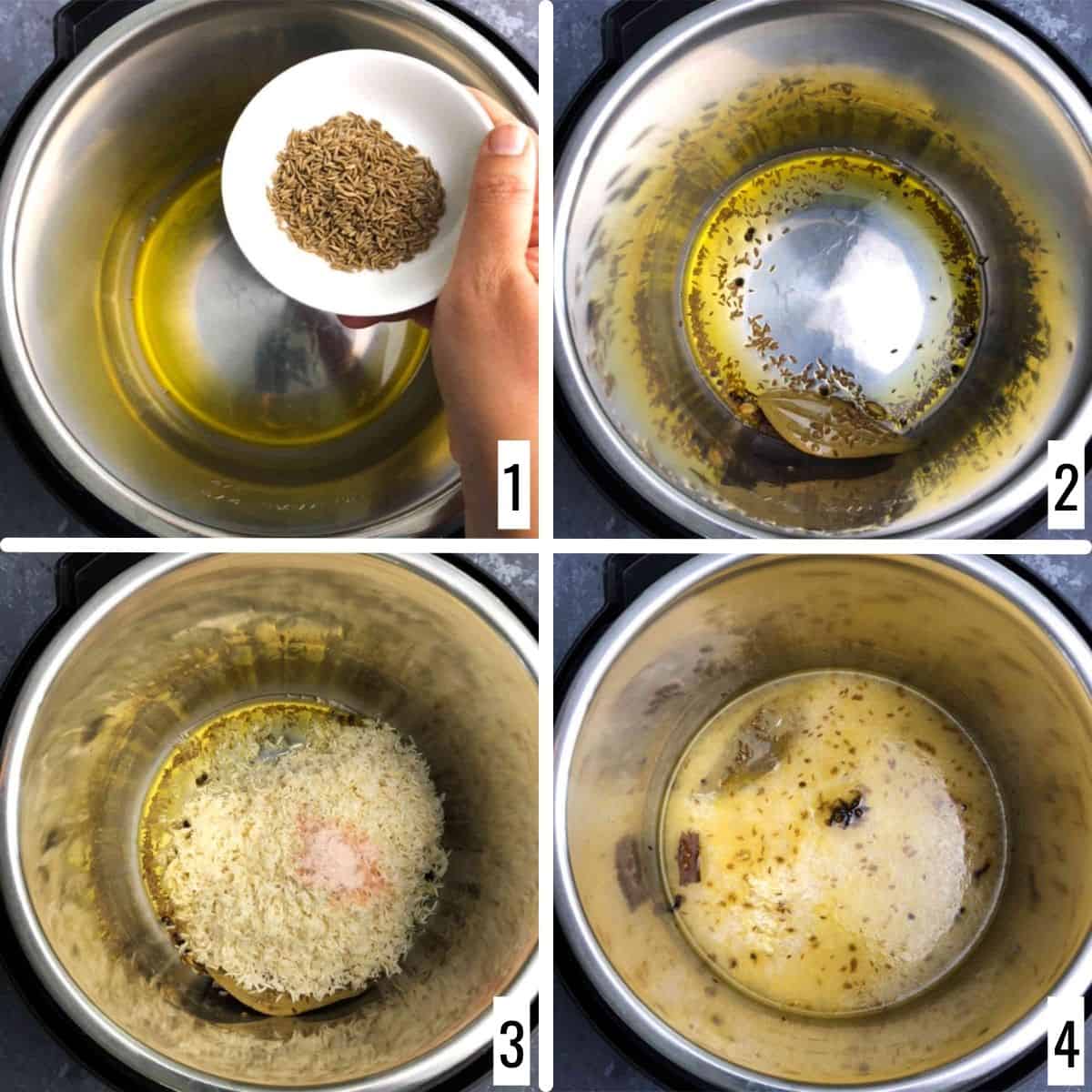 Instant Pot Jeera Rice (Cumin Rice) Easy Indian Cookbook