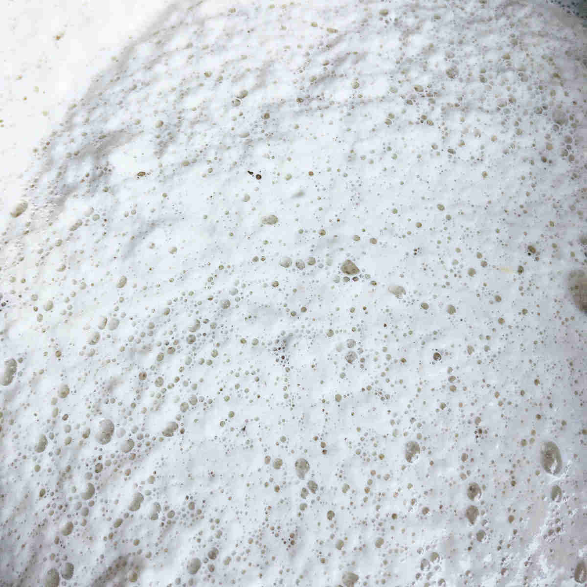 Fermented dosa batter bubbles shown in close-up.