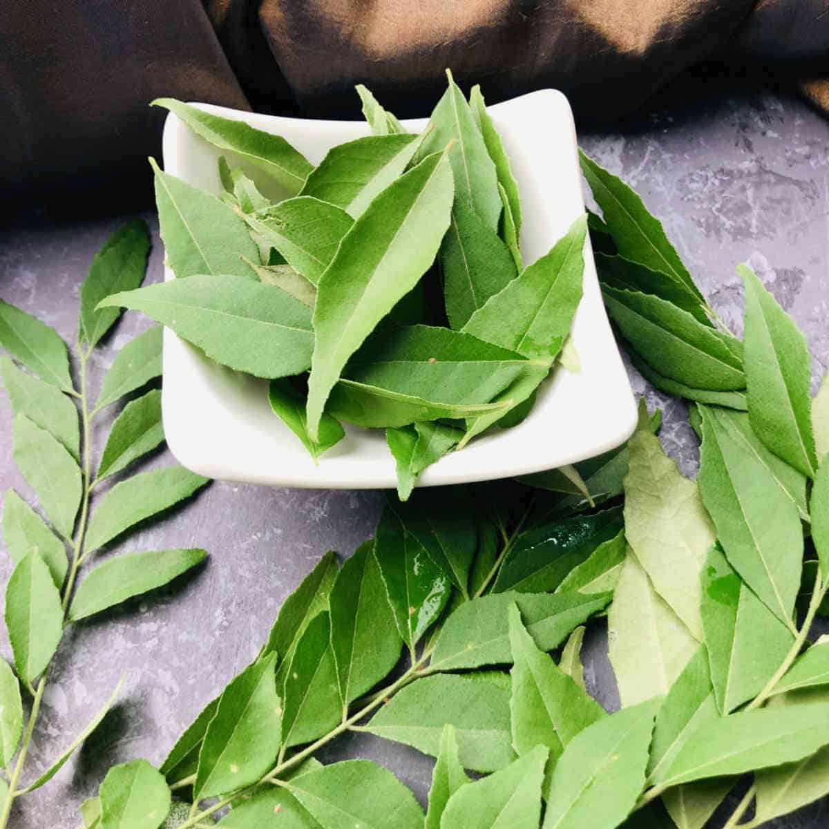 Curry Leaves - How To Use And Store - Easy Indian Cookbook