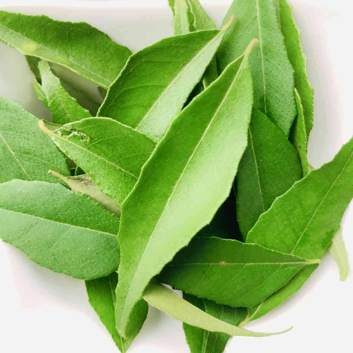 Curry Leaves - How to Use and Store - Easy Indian Cookbook