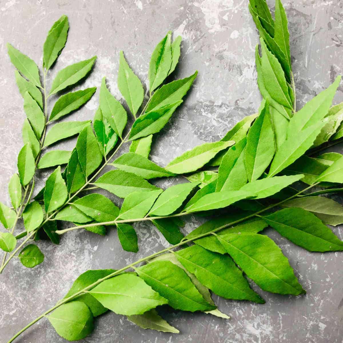 curry leaves.