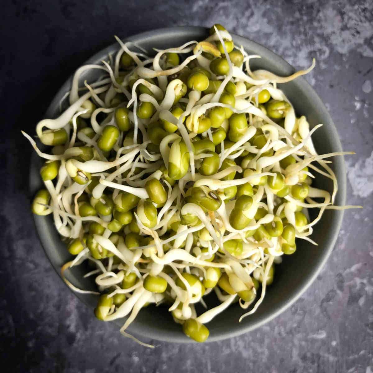 mung bean sprouts.
