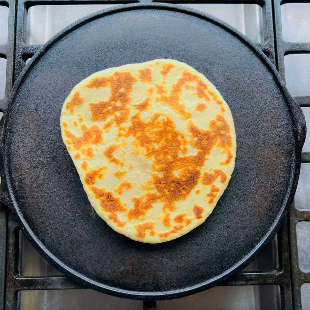 perfectly charred naan.