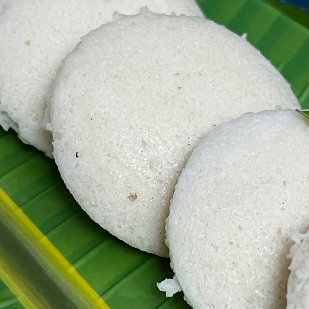 A close up of idli showing the fluffy texture.