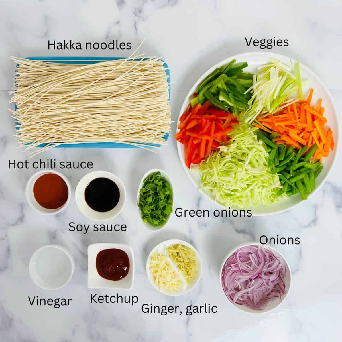 hakka noodles ingredients with labels.
