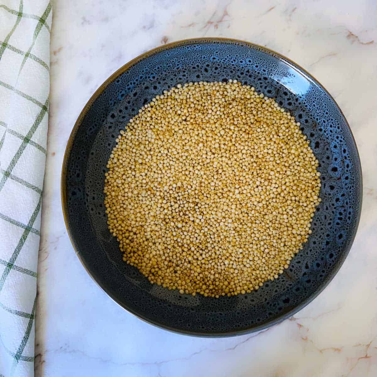 Soaked sorghum placed in a grey bowl.