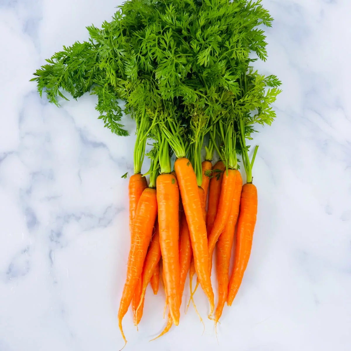 Dutch carrots or baby carrots.