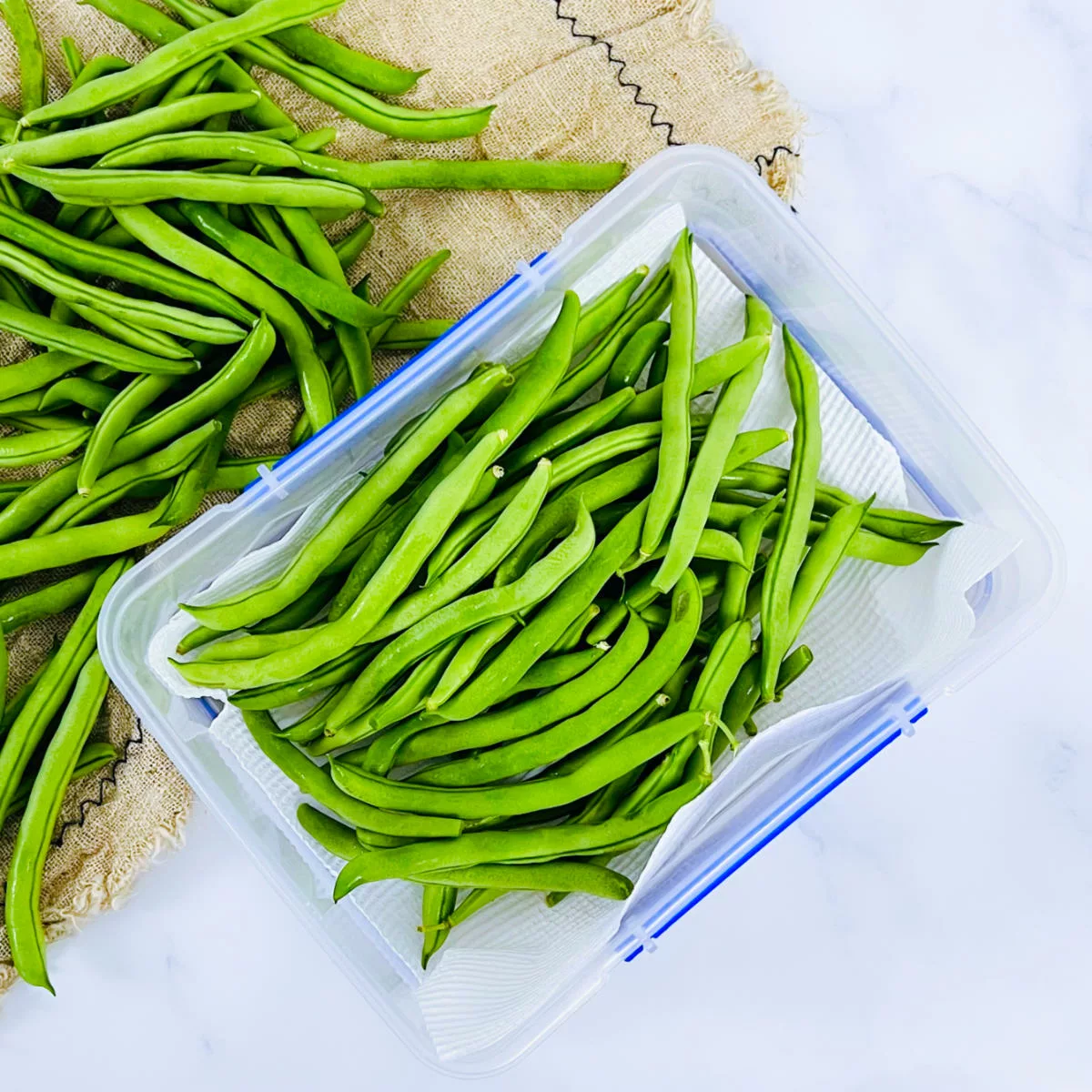 Storing green beans in the refrigerator.