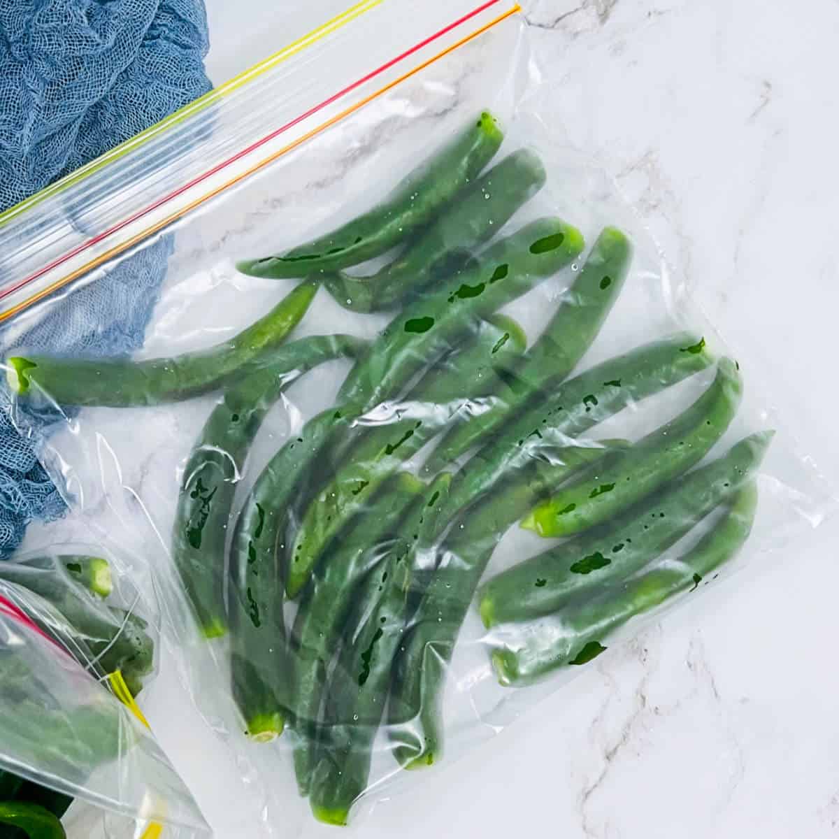 Green chili peppers placed in ziplock bag.