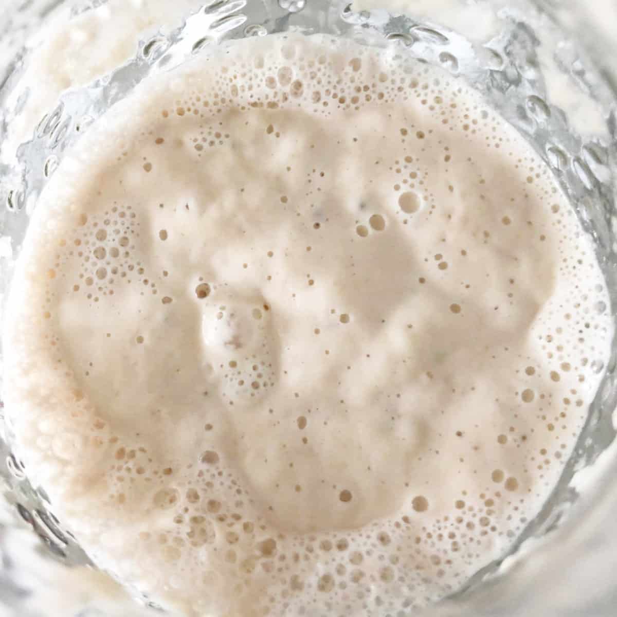 Close up of the sourdough starter to show the fermentation and bubbles.