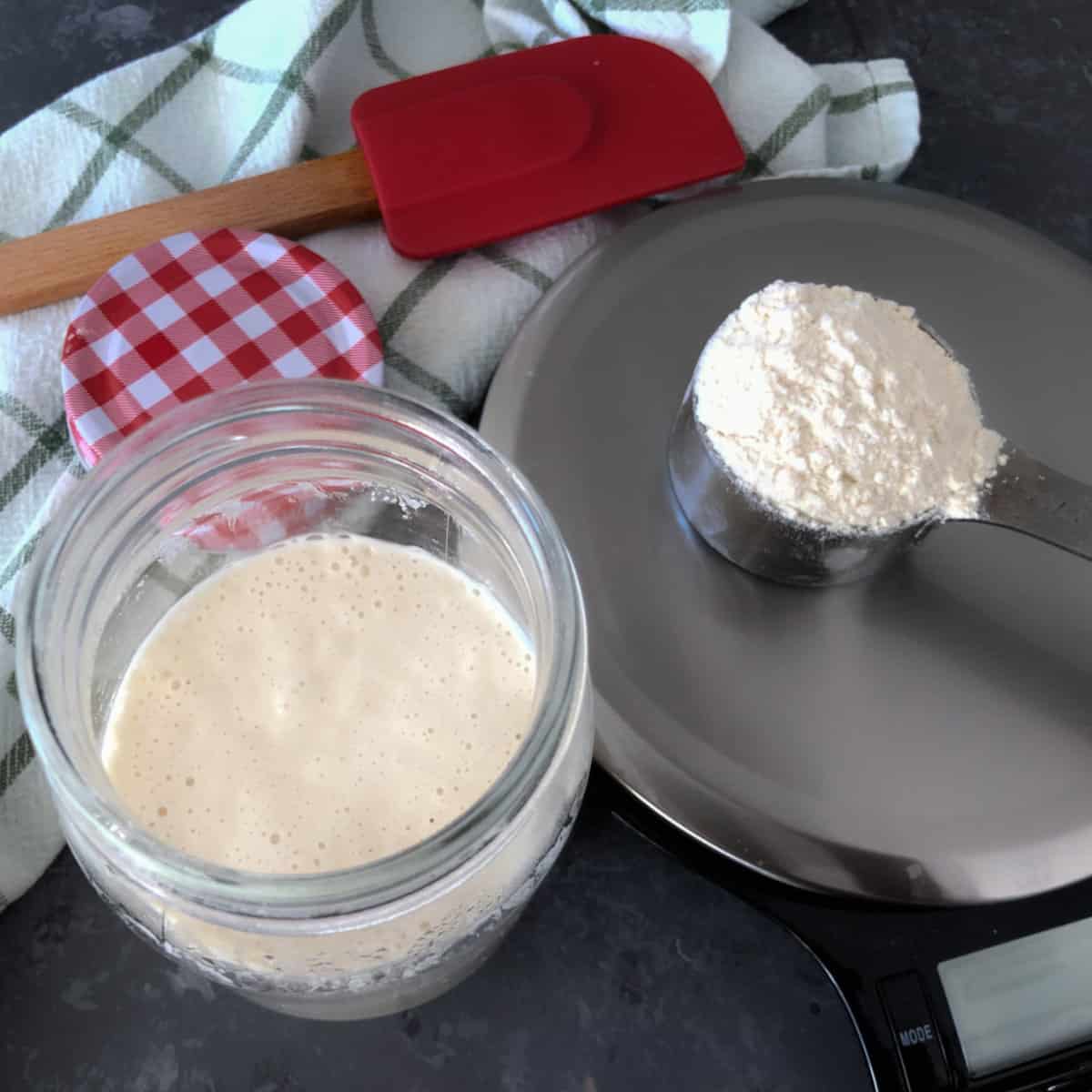 Sourdough starter and a small cup of flour.