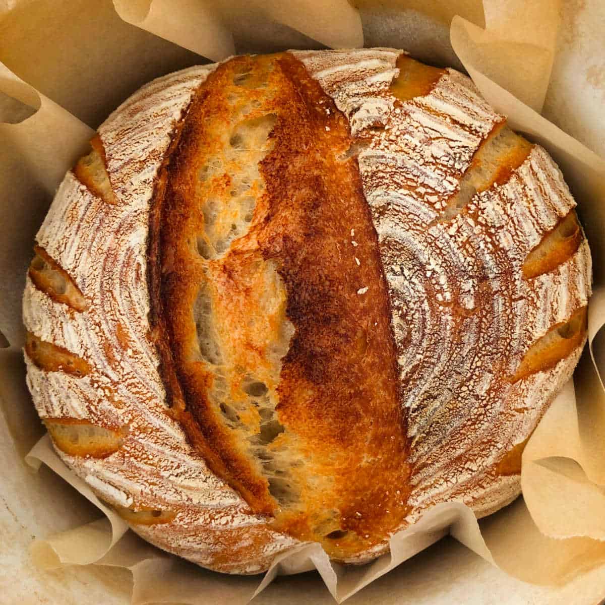 Perfectly baked sourdough bread inside a Dutch oven.