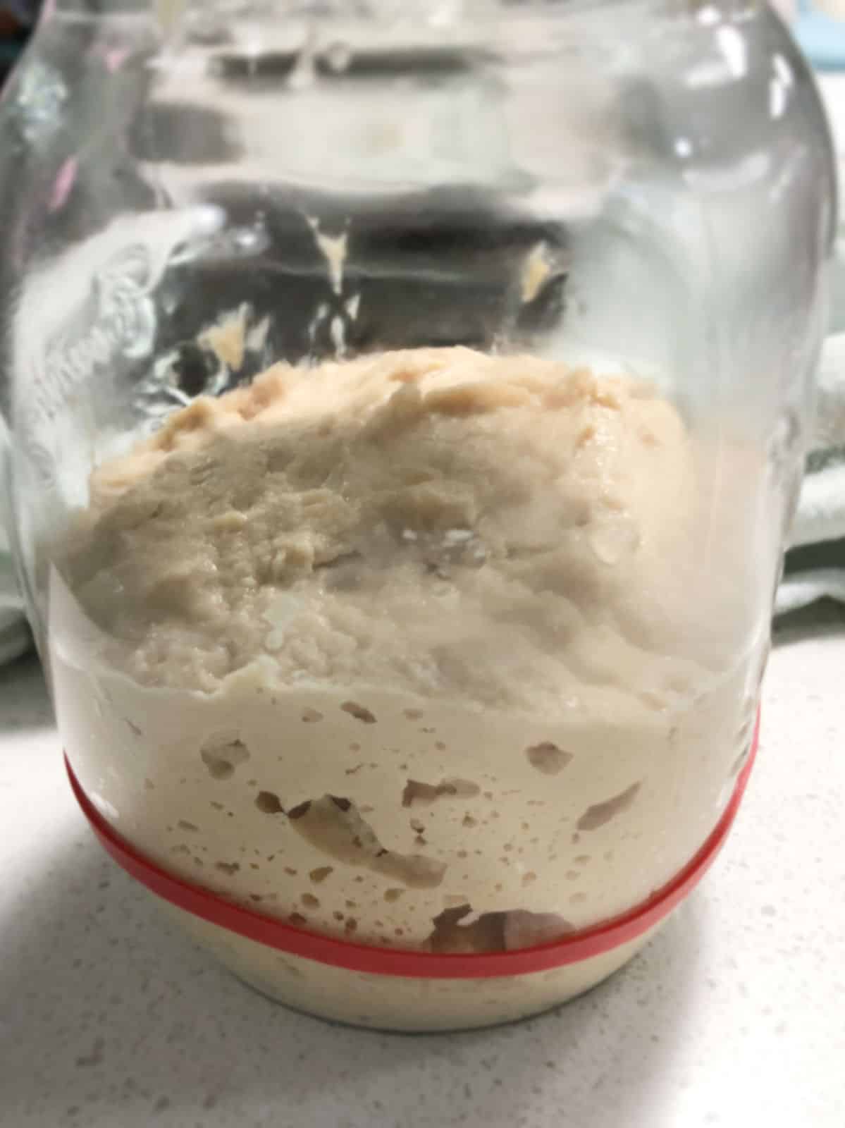 Day 4, feed 2 of the sourdough starter.