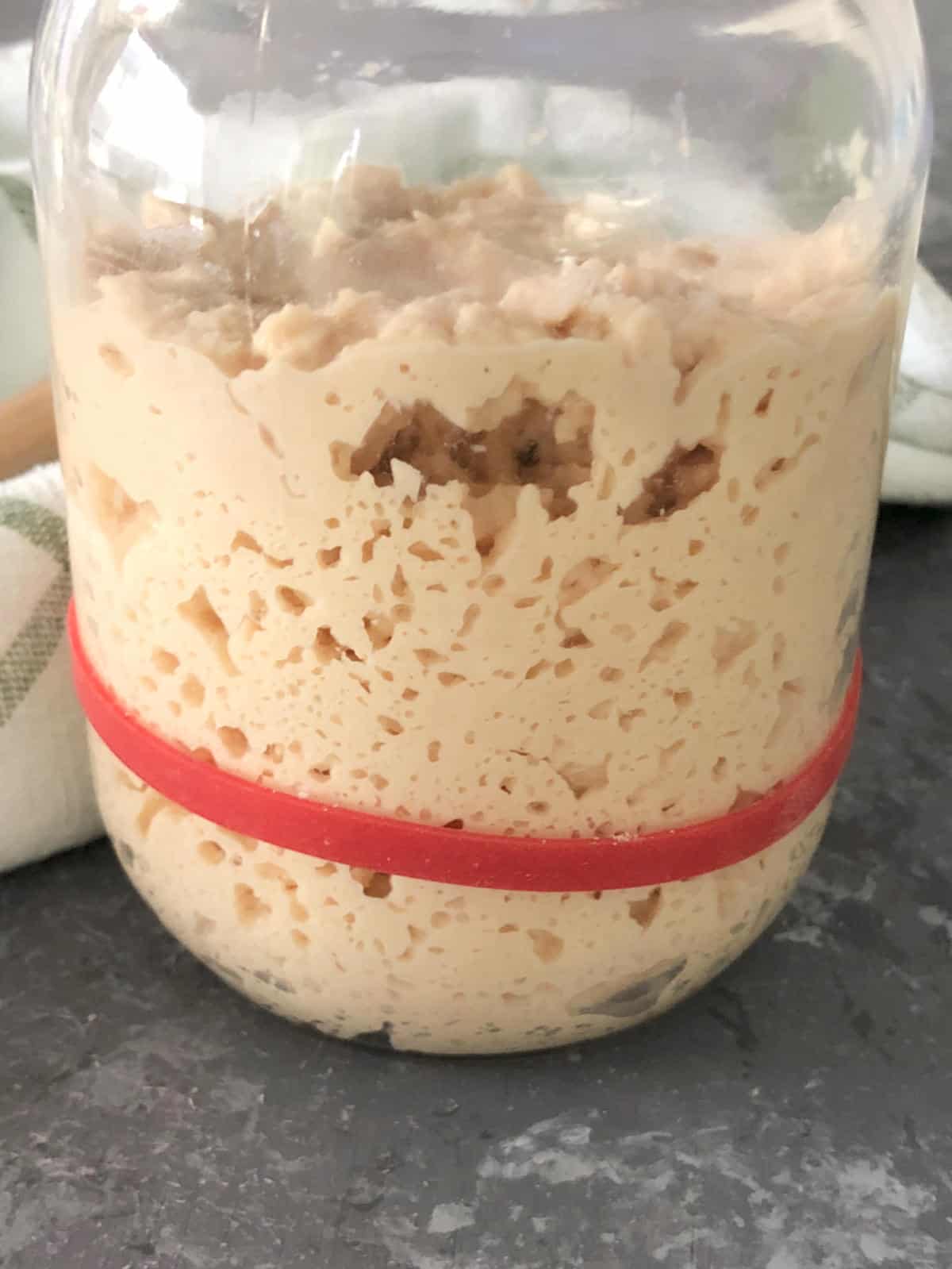 Sourdough atta starter jar with a rubber band to show the rise of the starter.