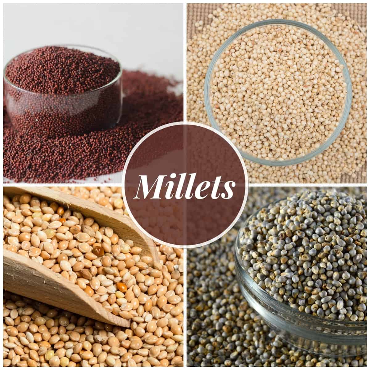 Collage showing different types of millets.