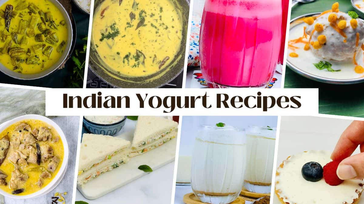 Collage of Indian yogurt recipes.