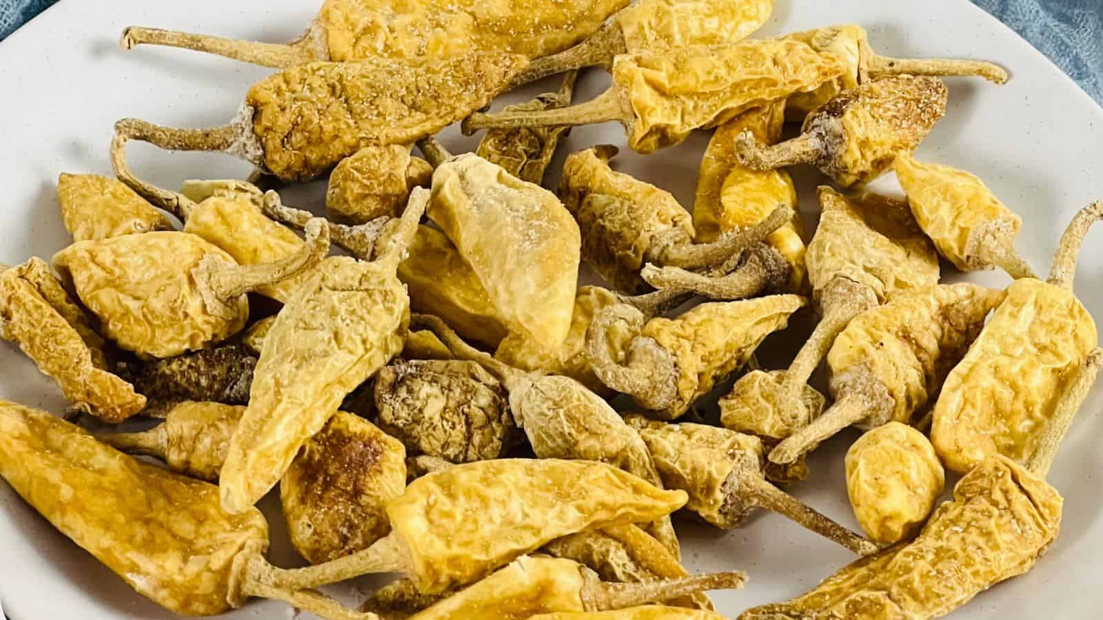 A white plate filled with dried yellow chili peppers.